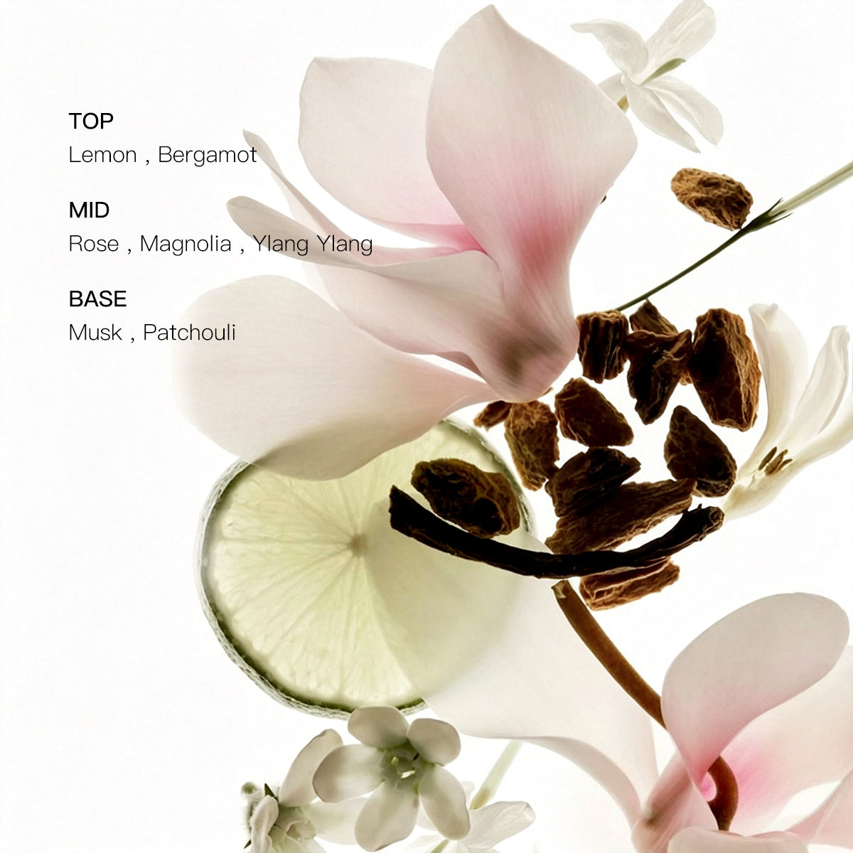 Magnolia Fragranced Shower Gel