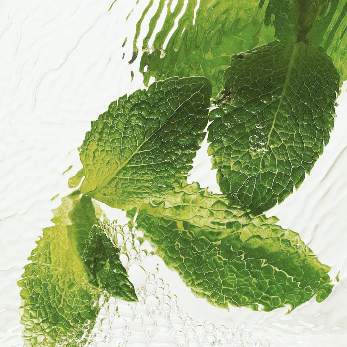 Basil & Mint Scalp Detox Shampoo